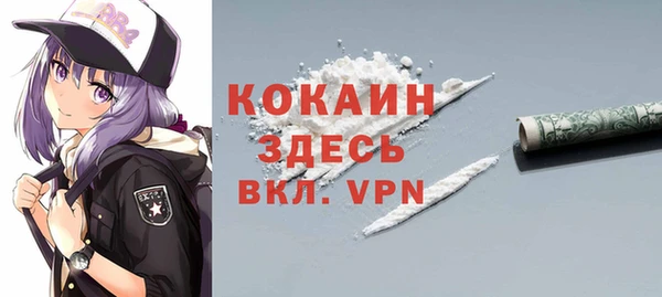 стаф Арсеньев
