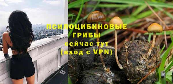 гидра Армянск