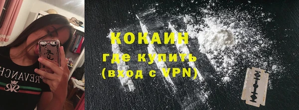 стаф Арсеньев