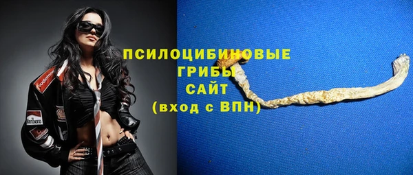 стаф Арсеньев
