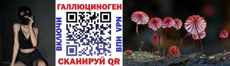 Псилоцибиновые грибы Psilocybine cubensis  Сурск 
