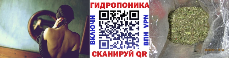 Бошки марихуана план Сурск